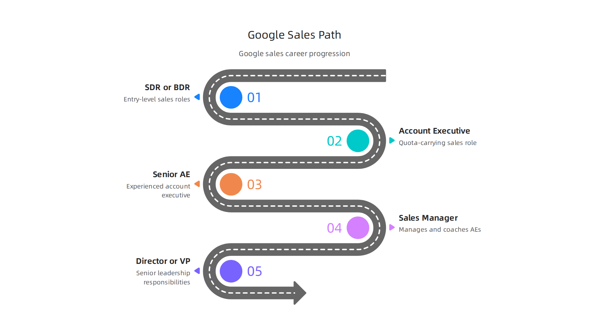 A visual representation of potential career paths within Google's sales organization, showing progression from entry-level to senior leadership roles.